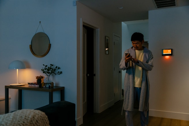 Vivint Mesa smarthome automation